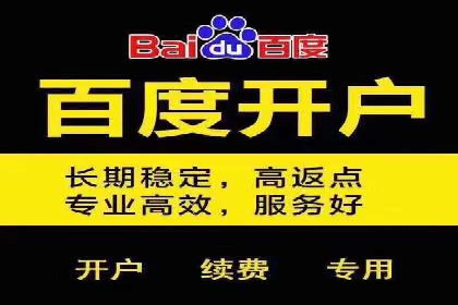 某品牌SEM广告投放效果全解析
